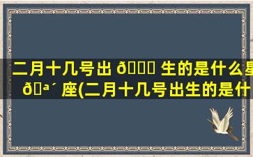 二月十几号出 🐝 生的是什么星 🪴 座(二月十几号出生的是什么星座的人)